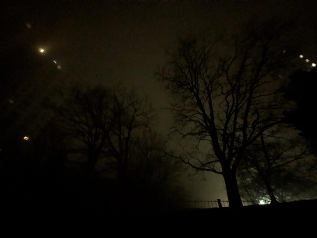 De nuit on ne voit pas grand chose, des arbres dans la brume, lumière urbaine, des immeubles peut-être aussi