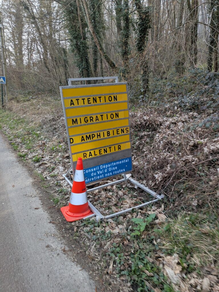 Panneau d'avertissement en bord de route "Attention migration d'amphibiens ralentir"