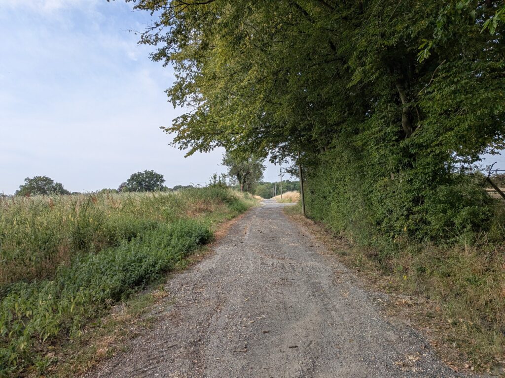 Un chemin de terre entre champs et arbres