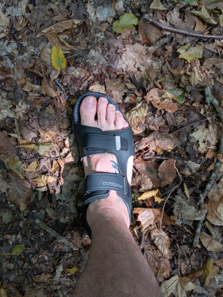 Un pied dans une sandale noire