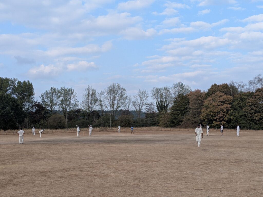 Des joueurs sur un terrain de cricket