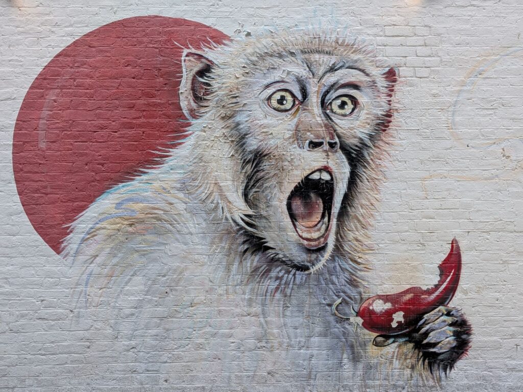 Graph d'un portrait de singe type macaque qui a la bouche ouverte et qui tient dans la main un piment rouge croqué