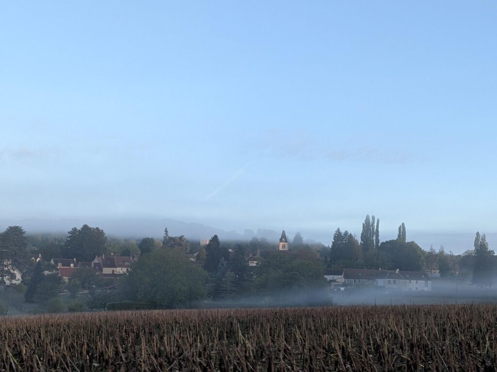 Au petit matin, vue d'une petite ville avec le sommet d'une église qui dépasse des arbres, au premier plan un champs et beaucoup de brume