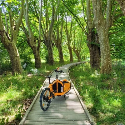 WabiSabi :bn: :bzh: :cargo3: